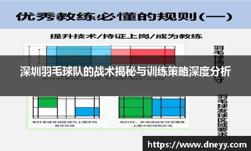 深圳羽毛球队的战术揭秘与训练策略深度分析